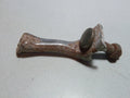 guide cable OLD BIKE  FREINS VELO ANCIEN BRAKE BICYCLETTE ROAD TANDEM EROICA  an