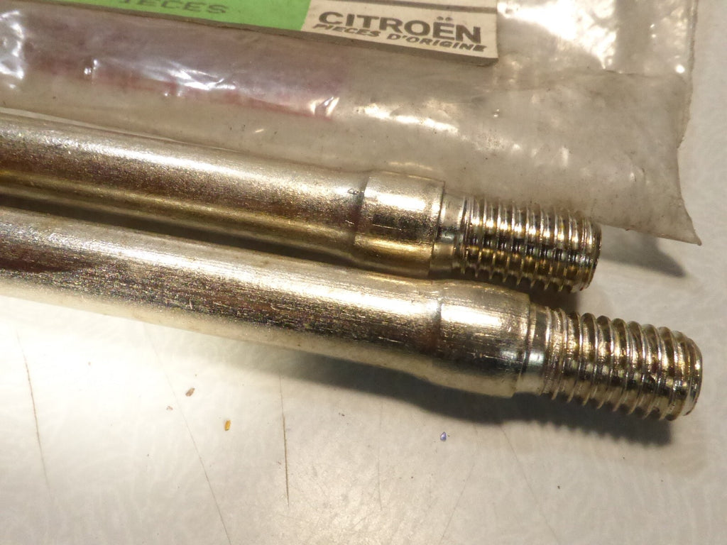 2 goujon d'origine Citroën 05955678