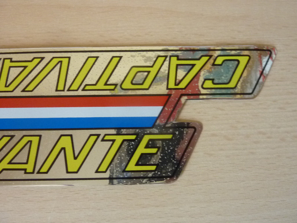 Captivante Vintage 1 Stickers bike / 1 autocollant velo